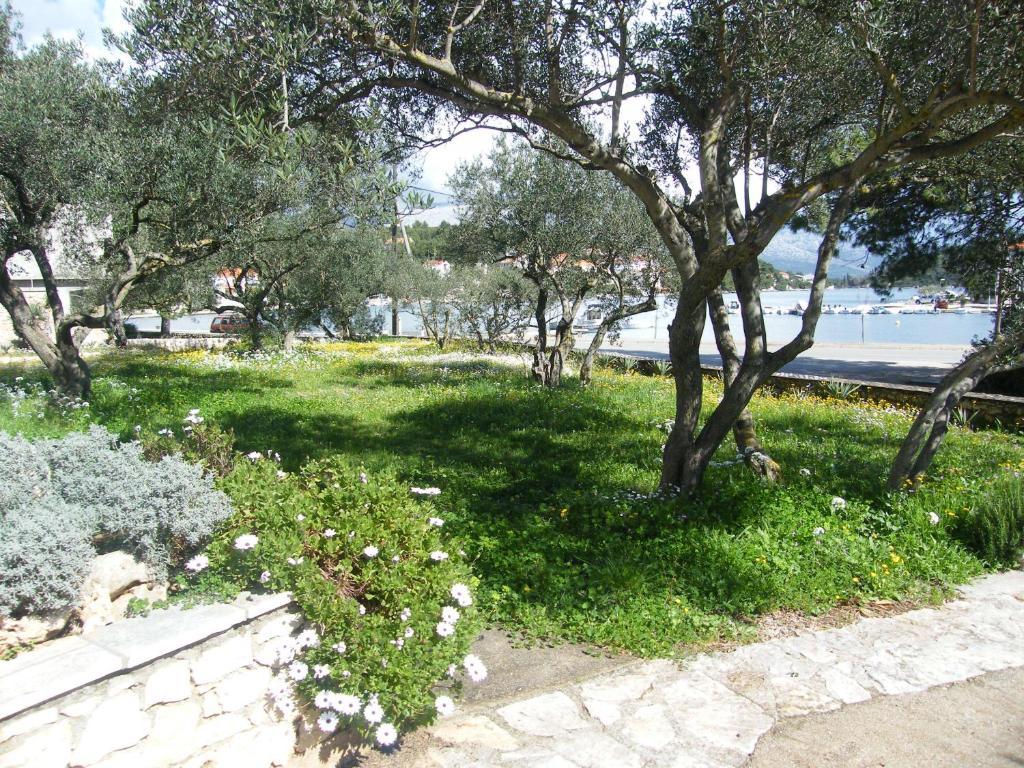 Apartments Maslina Лумбарда Екстериор снимка
